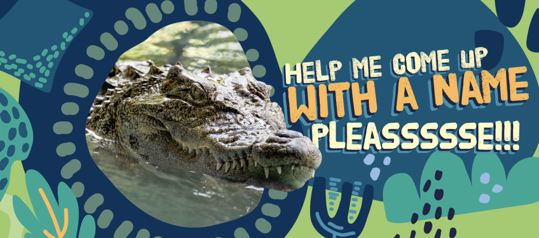 Ocean Park’s New Member Naming Challenge – Name the New Exotic Crocodile Found in Lin Fa Tei!